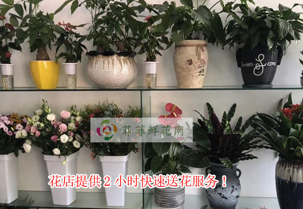 临汾尧都区花店提供临汾尧都区2小时快速送花服务