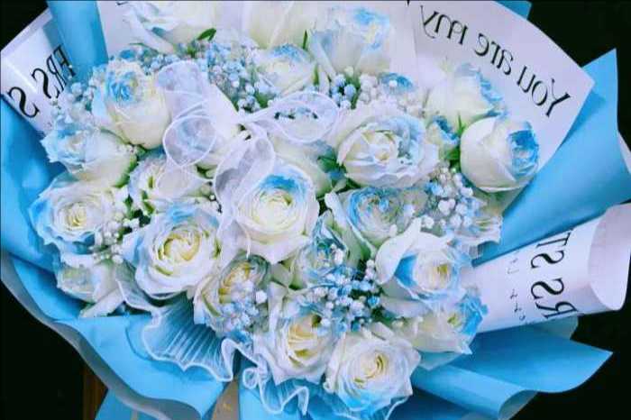 �ٷ�Ң��������